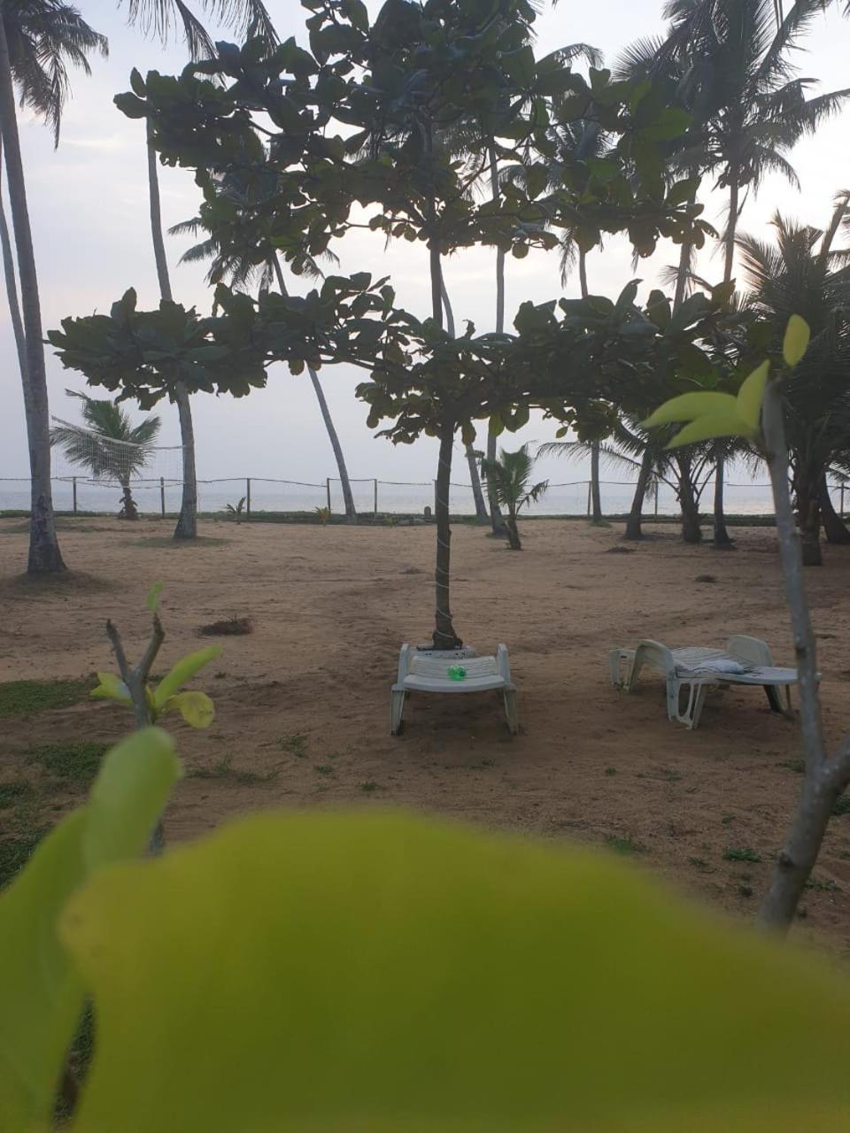 גאלה Sea View Resort מראה חיצוני תמונה